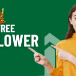 free instagram follower